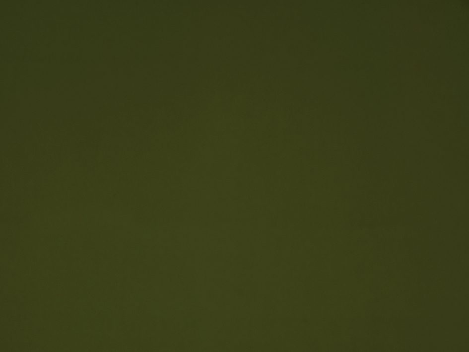 zoom colori VELOURS MAT M1 kaki, vert